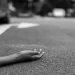 Indian Student Brutally Murdered by homeless drug addict Man in US