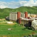 NIIT University