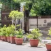 JNUSU Elections