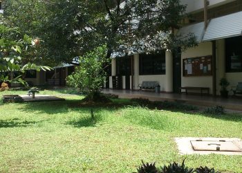 MIT Media Lab Study Reveals AI Tools Reduce Brain Engagement and Memory During Writing Tasks